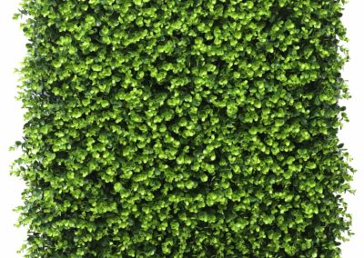 image of Calico Greens artificial green wall panels