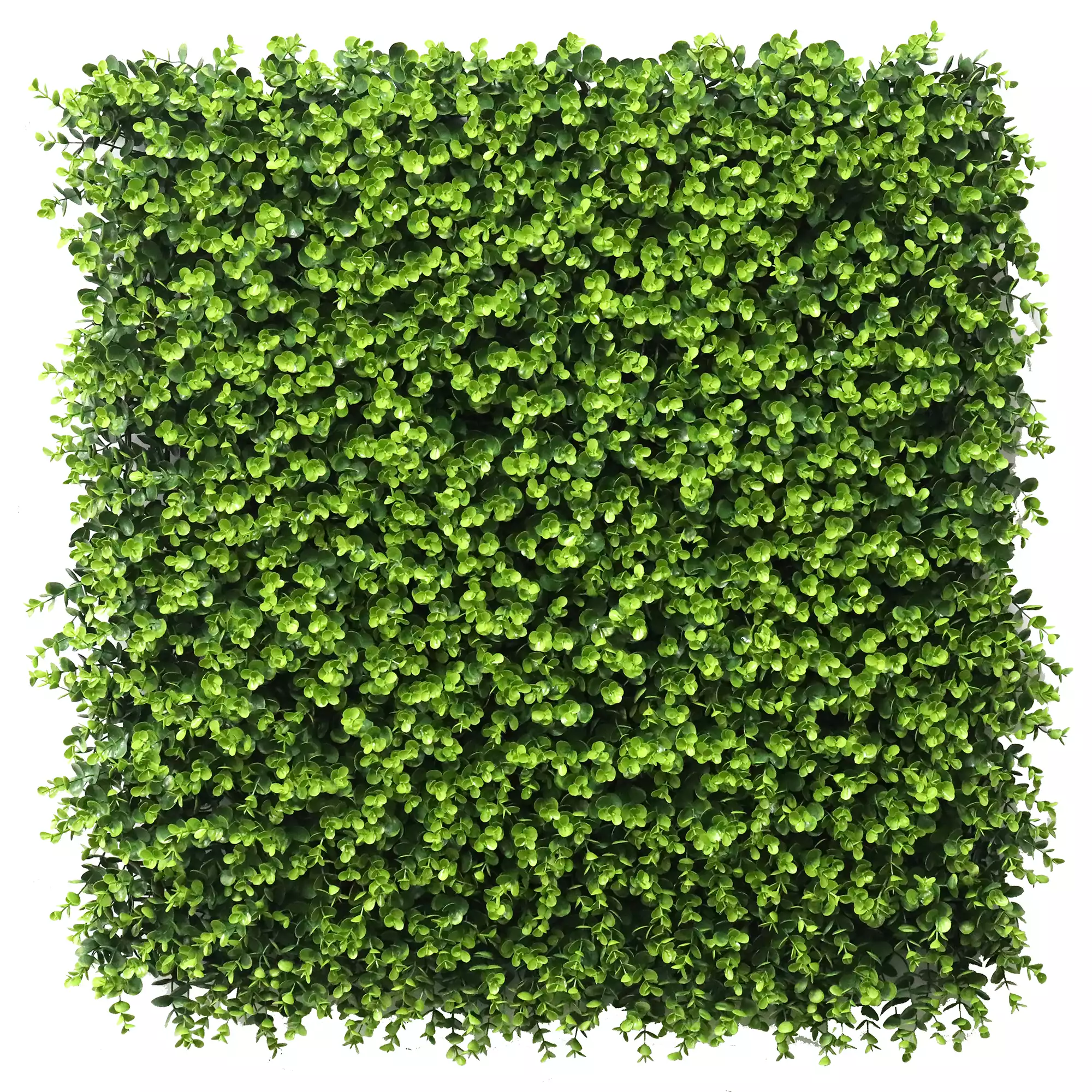 image of Calico Greens artificial green wall panels Hampton