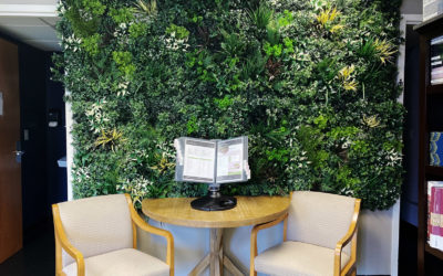 Why More Homeowners Are Choosing Faux Plant Walls Over Traditional Plant Walls