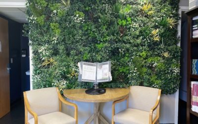 Why Fake Plant Walls Are Becoming Increasingly Popular