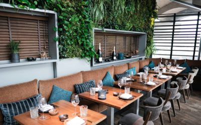 Give Your Restaurant a Modern, Natural-Looking Atmosphere with Artificial Green Walls